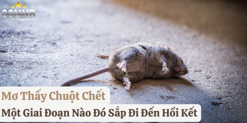 mơ chuột
