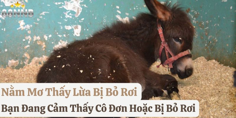 mơ lừa