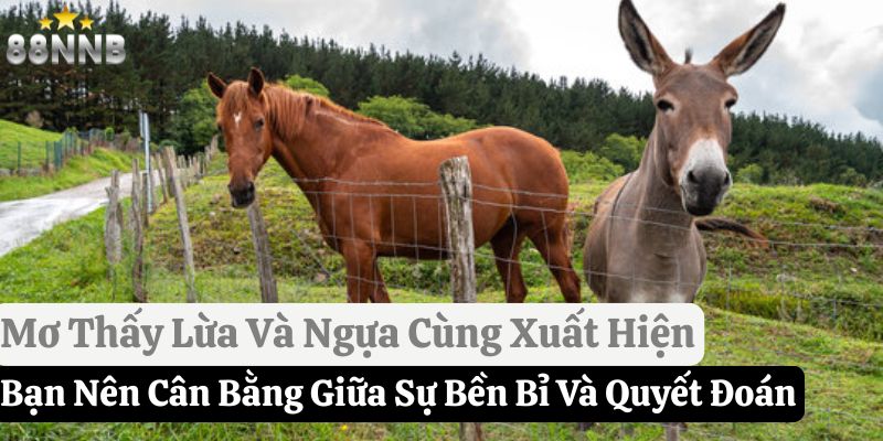 mơ thấy lừa