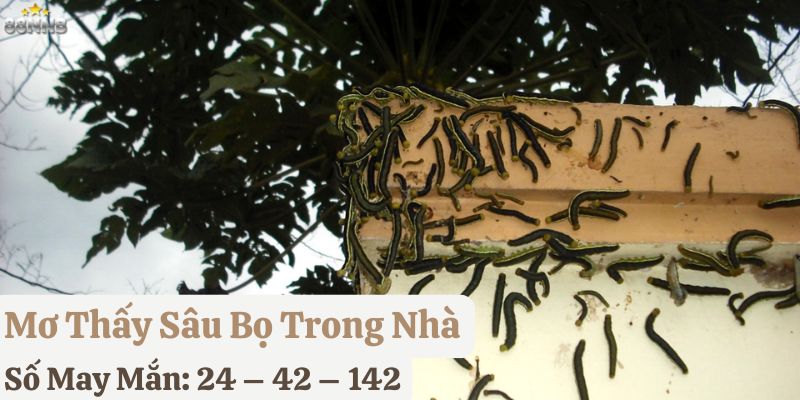 nằm mơ sâu bọ