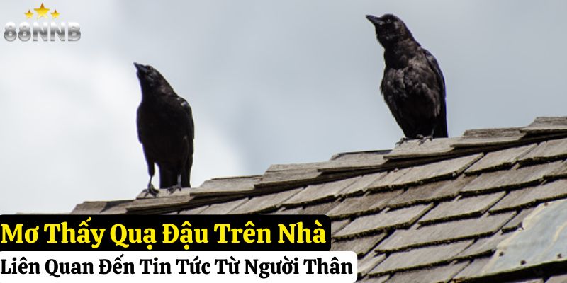 mơ thấy quạ