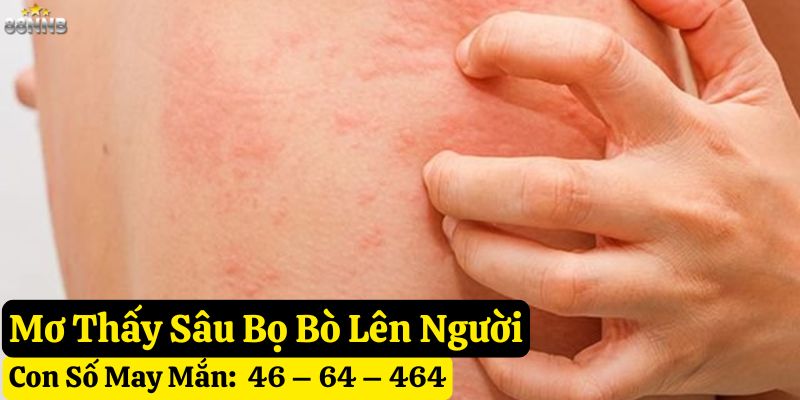 mơ sâu bọ